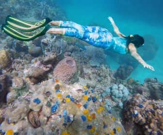 Andaman Islands offer some of the best places to snorkel so you can easily explore the world of sea-dwellers with a wide variety of corals, both hard & soft that houses a plethora of beautiful fish species to gaze at.